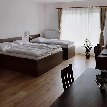 Guest house Zafir *