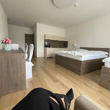 Zafir Penzión pre hostí 3*