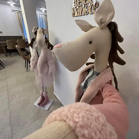 Zafir Penzión pre hostí Dunajska Streda